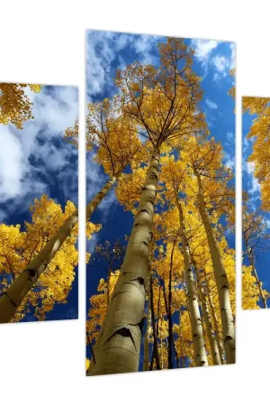 Szybka dostawa Schilderij - Aspen