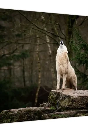 Schilderij - Huil van de wolf Autentyczny