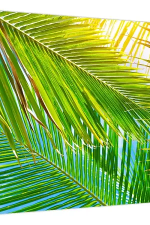 Schilderij - Palmbladeren Najlepsza cena