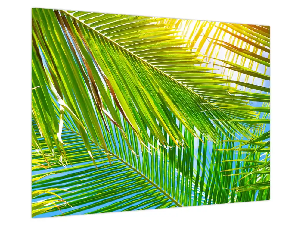 Schilderij - Palmbladeren Najlepsza cena
