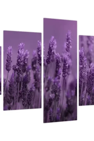 Nowość Schilderij - Lavendel