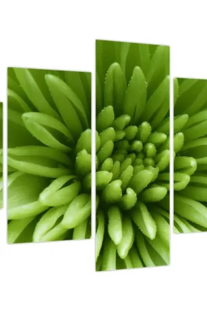 Ostatnia szansa Schilderij - Macrobeeld van een plant