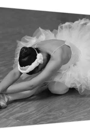 Schilderij - Ballerina, zwart-wit Ekspresowa dostawa