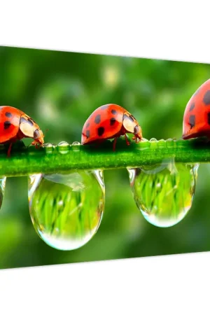 Schilderij - Zonneschijn van de zeven zonnen Popularny