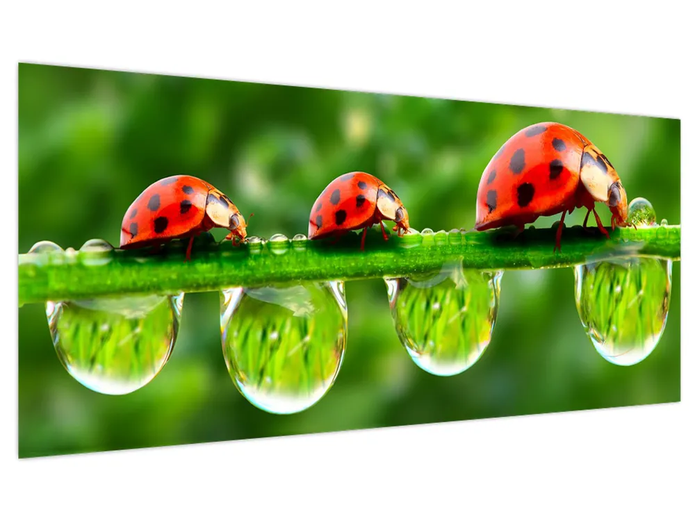 Schilderij - Zonneschijn van de zeven zonnen Popularny