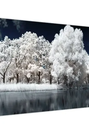 Rabat Schilderij - Sneeuwwitte bomen