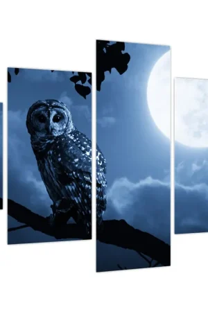 Szybka dostawa Schilderij - Nachtuil