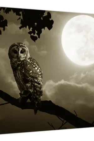 Schilderij - Nachtuil, gouden Tylko dziś