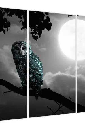 Nowość Schilderij - Nachtuil, blauw