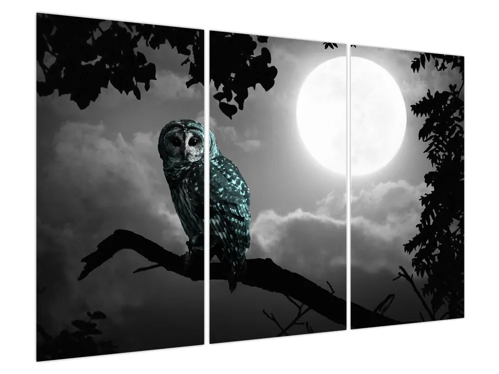 Nowość Schilderij - Nachtuil, blauw