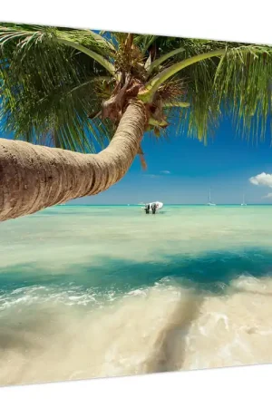 Schilderij - Schone zee met palmboom Ekspresowa dostawa