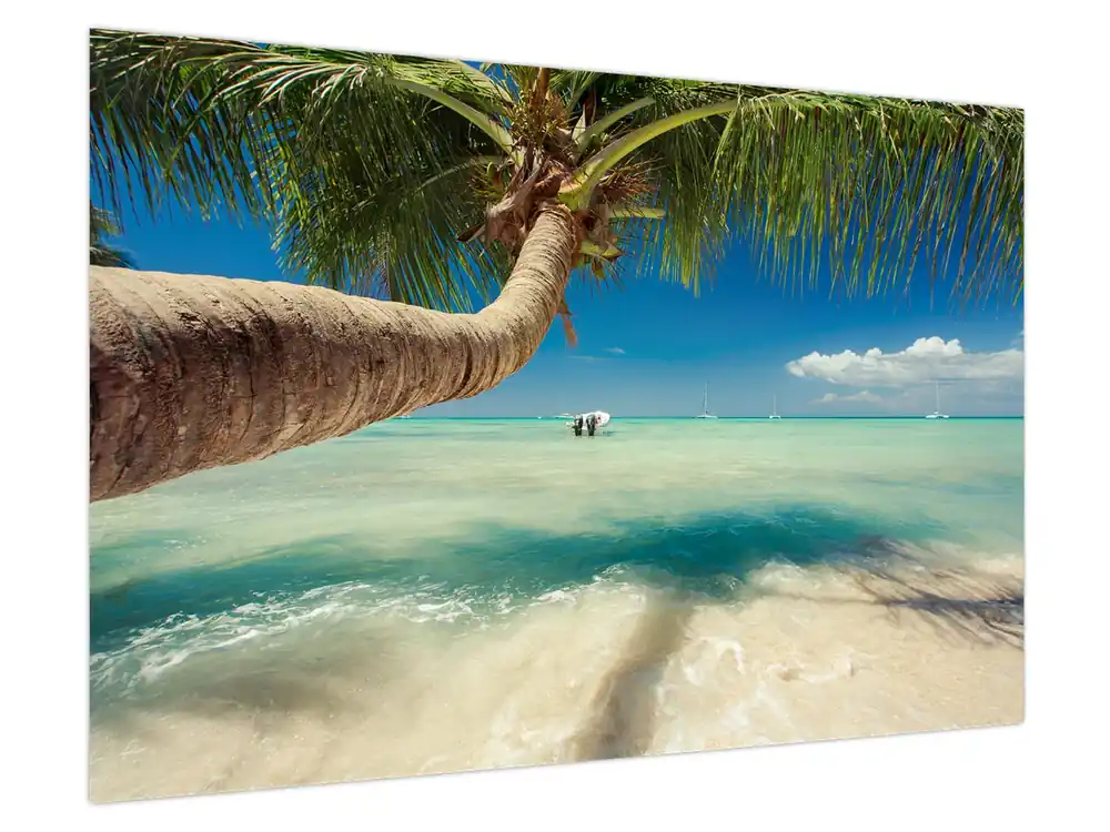 Schilderij - Schone zee met palmboom Ekspresowa dostawa