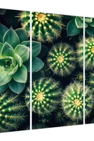 Ostatnia szansa Schilderij - Cactussen