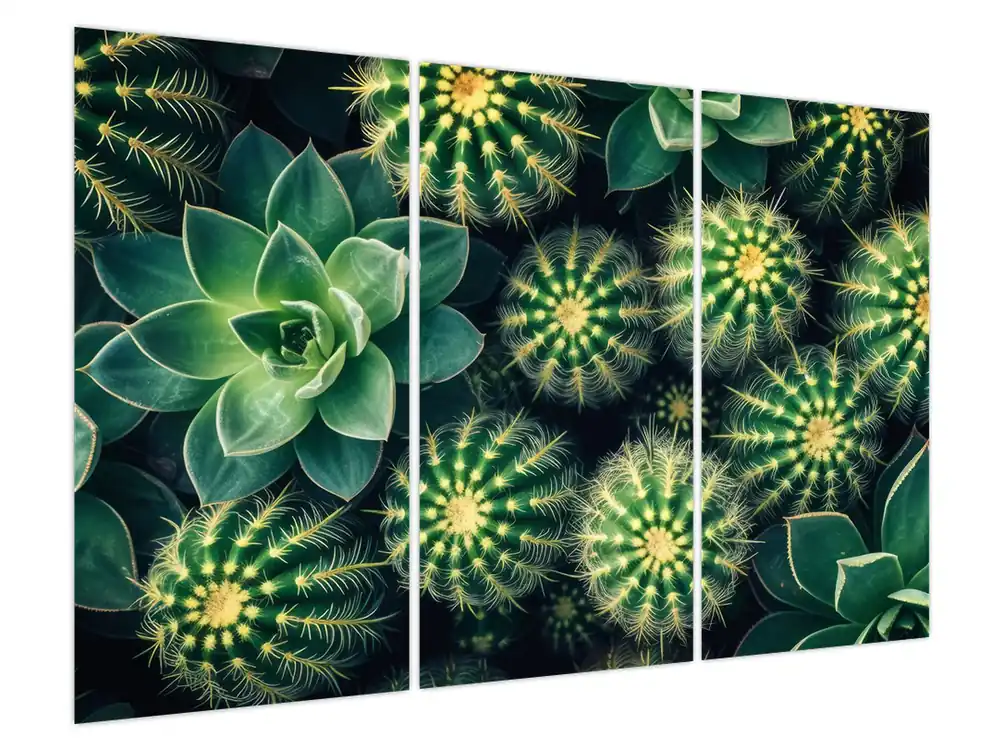 Ostatnia szansa Schilderij - Cactussen