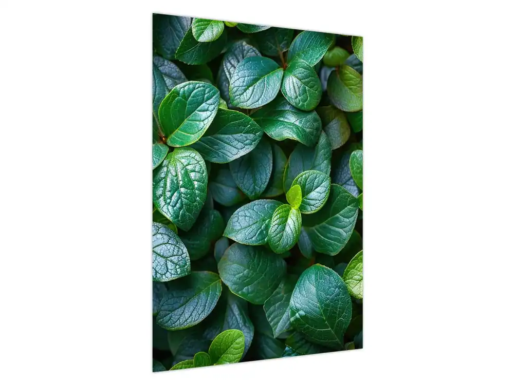 Nowość Schilderij - Groene planten