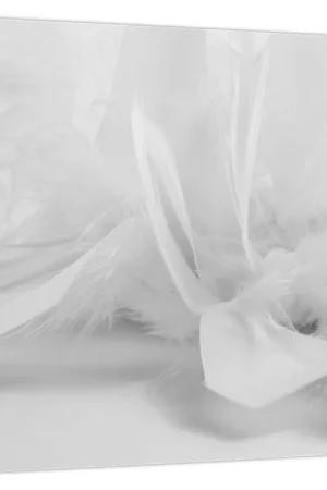 Schilderij - Veren Premium