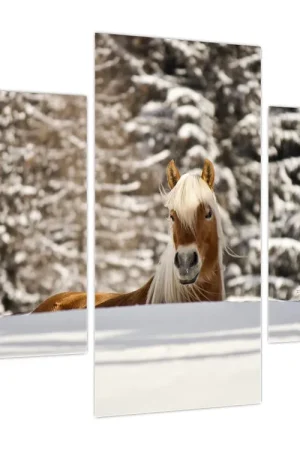Zamów teraz Schilderij - Paard in winterlandschap