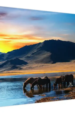 Oferta limitowana Schilderij - Stroomvoorziening