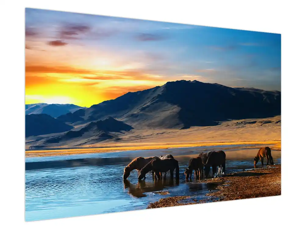 Oferta limitowana Schilderij - Stroomvoorziening