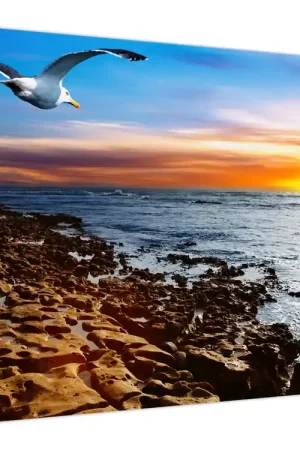 Schilderij - Zeemeeuw vliegend over de kust Bezpieczna płatność