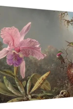 Schilderij - Martin Johnson Heade, Cattleya Orchid and Three Hummingbirds, reproducties Promocja