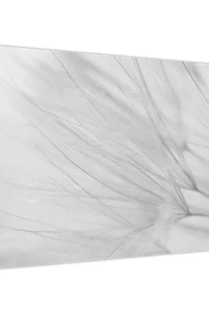 Schilderij - Paardenbloem Oferta