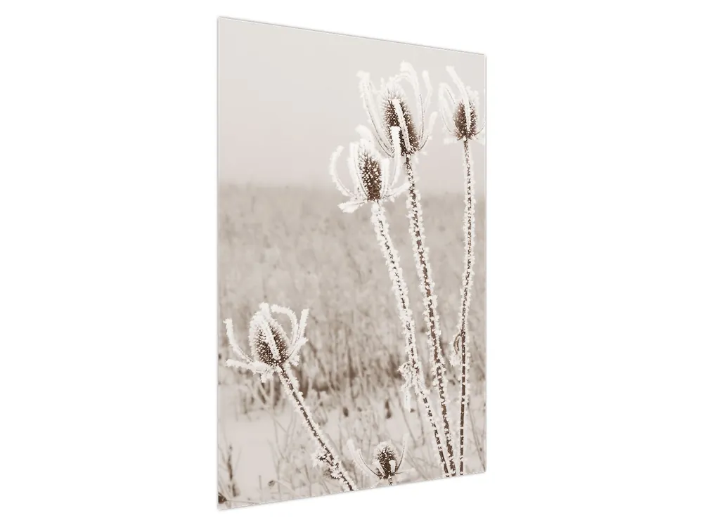 Szybka dostawa Schilderij - Distel in de winter