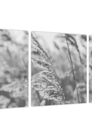 Oryginalny Schilderij - Gras in de wind