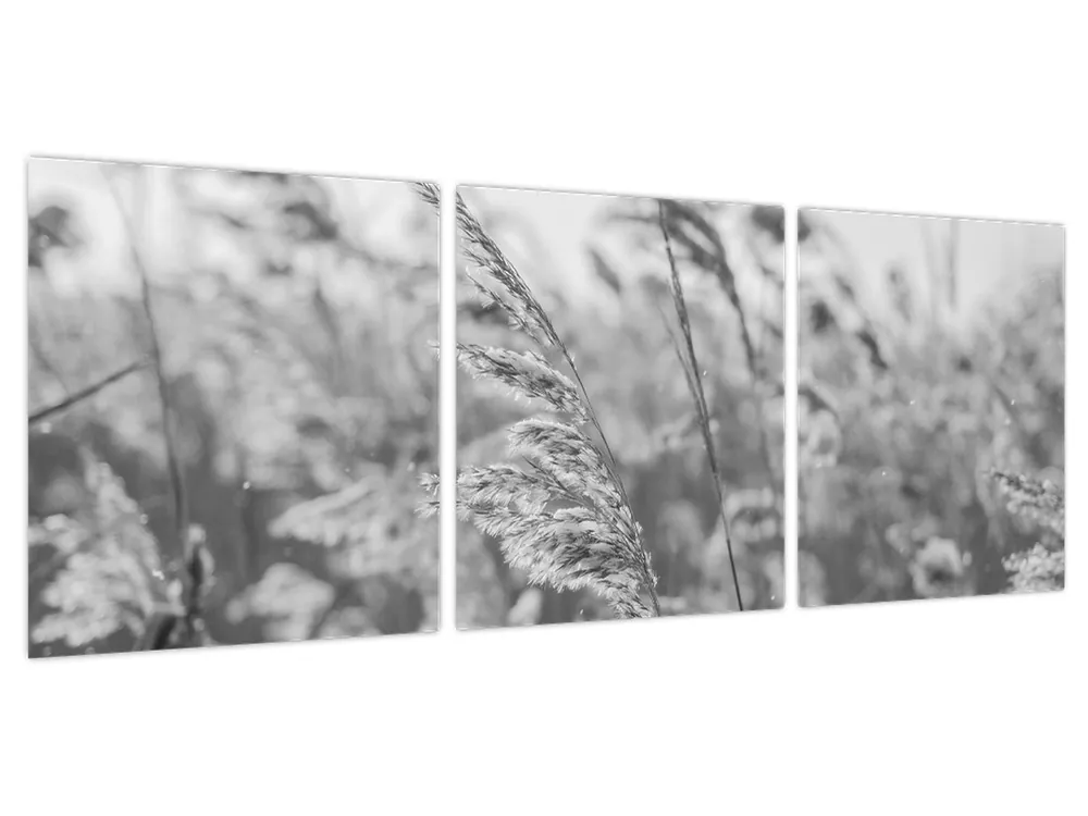 Oryginalny Schilderij - Gras in de wind