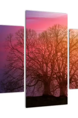 Schilderij - Bomen in de nevel Autentyczny