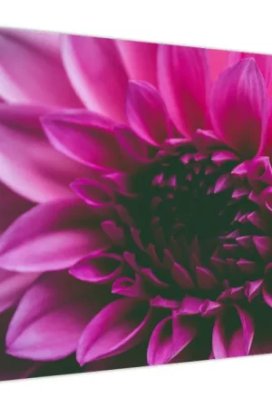 Ekspresowa dostawa Schilderij - Roze bloesem