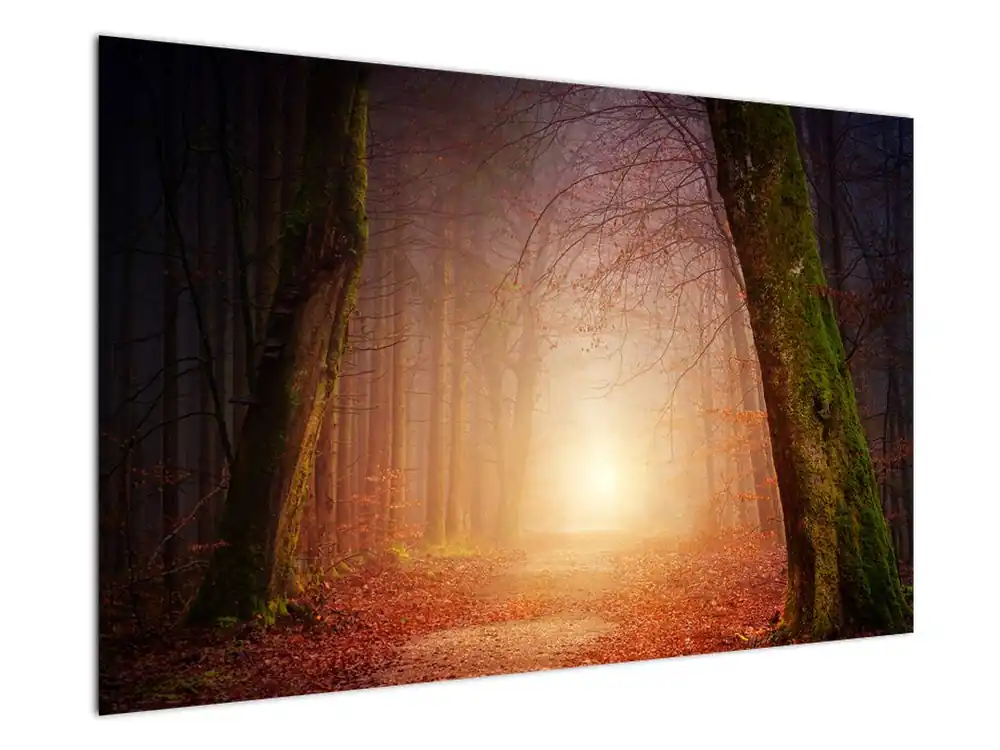 Niska cena Schilderij - Nevel in het herfstbos