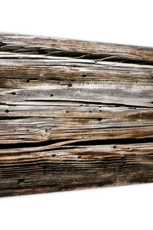 Schilderij - Seizoenshout Szybka dostawa