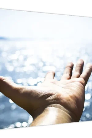 Schilderij - Geopende handpalm Popularny