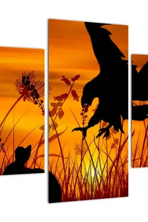 Popularny Schilderij - Silhouet van een roofvogel