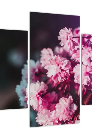 Schilderij - Bloeiende boom Zamów teraz