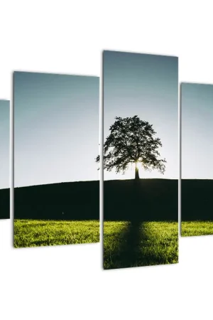 Schilderij - Natuur, boom Wysoka jakość