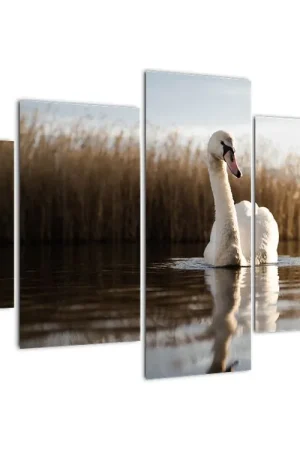 Popularny Schilderij - Zwaan