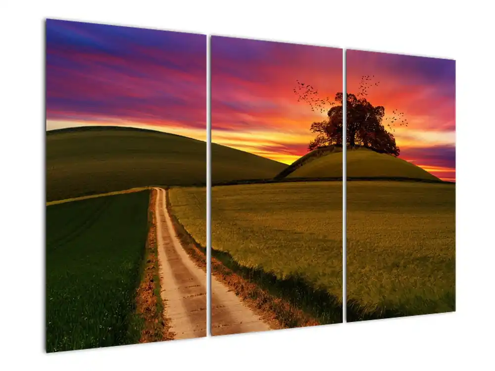 Schilderij - Veld bij zonsondergang Niska cena