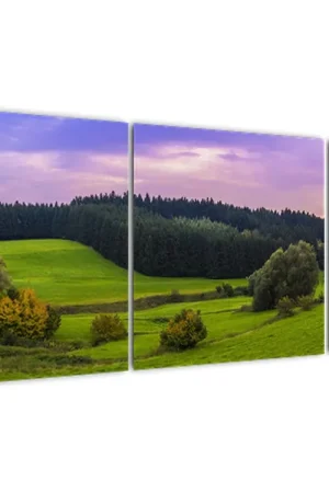 Darmowa dostawa Schilderij - Weiland