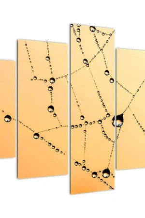 Schilderij - Spinneweb met dauwdruppels Tylko dziś