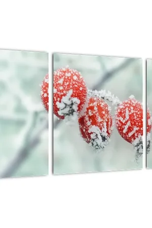 Nowość Schilderij - Bevroren rozenbottels