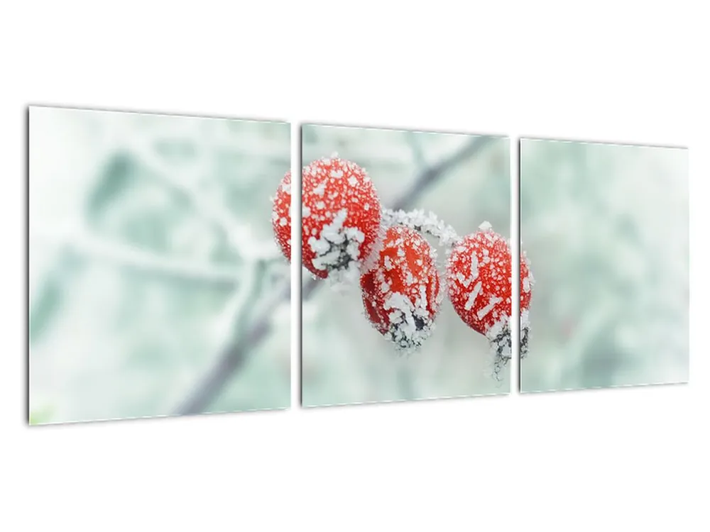 Nowość Schilderij - Bevroren rozenbottels