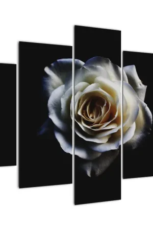 Schilderij - Witte roos Niska cena