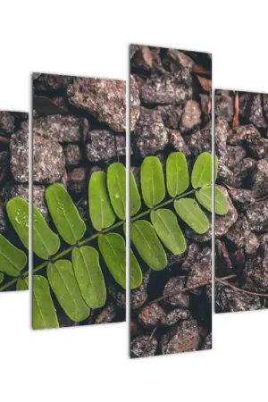 Schilderij - Groene plant Darmowa dostawa