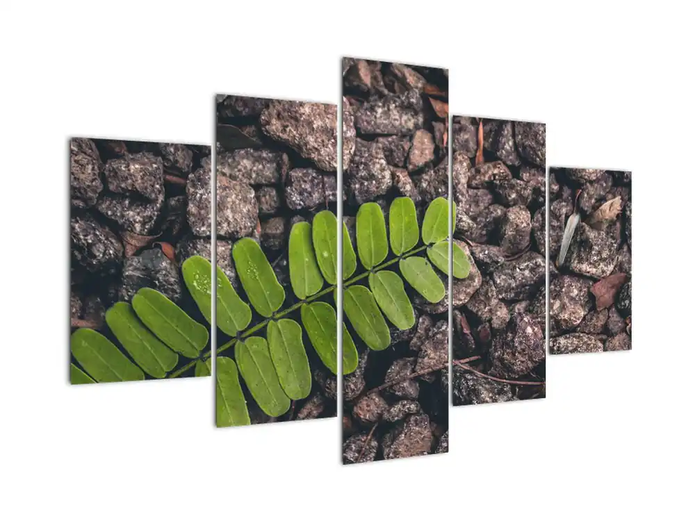 Schilderij - Groene plant Darmowa dostawa