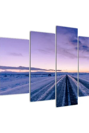 Bezpieczna płatność Schilderij - Weg in de winter