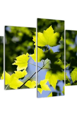 Schilderij - Esdoornbladeren Kup teraz