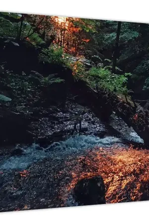 Nowość Schilderij - Bergriviertje