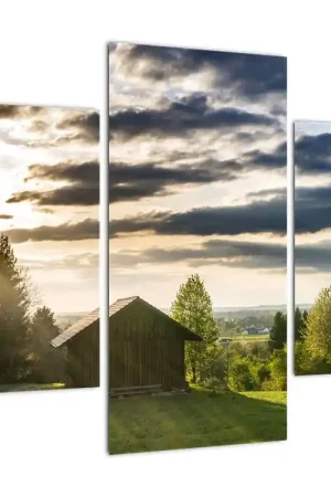 Tylko dziś Schilderij - Boshut